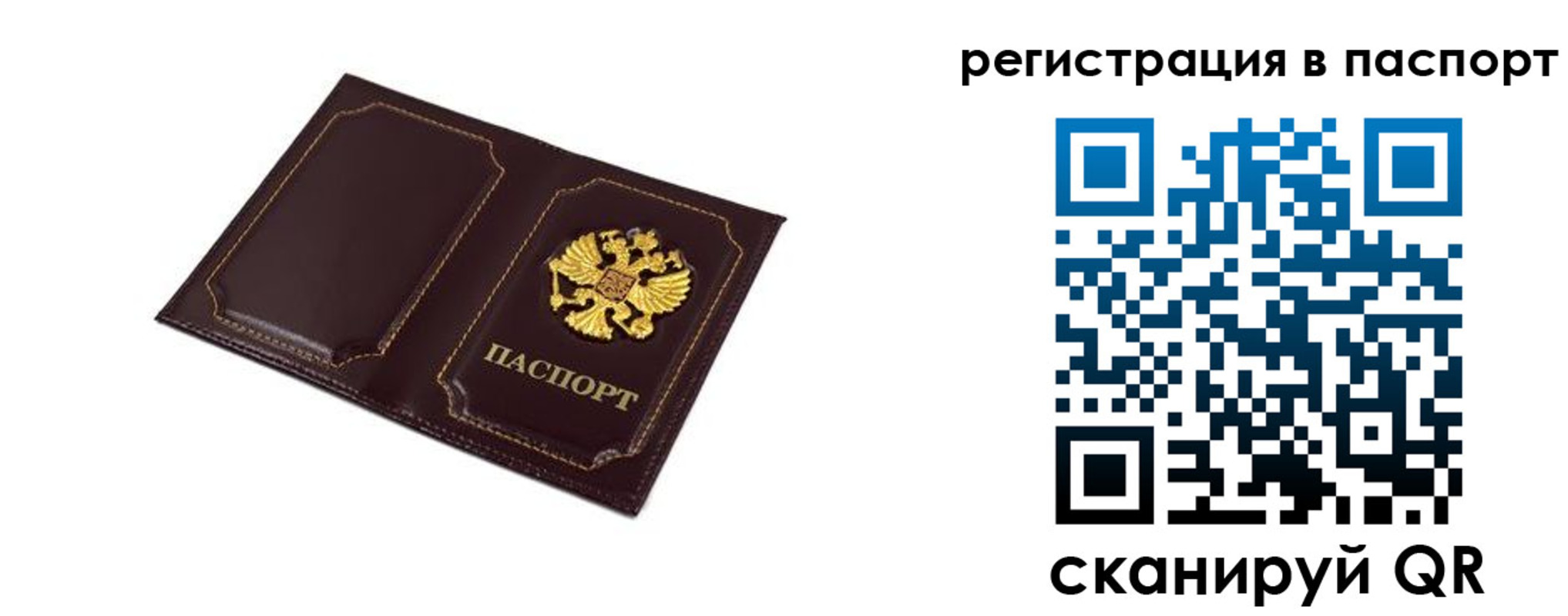 миграционный учет в Кировске